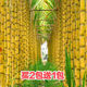 Sugarcane seeds, golden sugarcane, sown in all seasons, planted in the south and north, crispy, sweet and chewy varieties, yellow-skinned seeds, 110 capsules