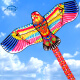 XiLi Kite Children's Adult Kite Wheel Weifang Breeze Easy to Fly Large Eagle Phoenix Outdoor Holiday Gift