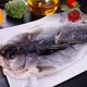 Sandu Port Frozen Sanlu Sea Bass 1Jin Jin is equal to 0.5kg 1 piece (free package) Deep sea fish Fresh fish Seafood New Year's goods