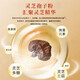 
Beijing Tongrentang Break Wall Ganoderma Lucidum Spore Powder Capsules Elderly Anti-aging Nutritional Products Direct Sale in Five Bottles
