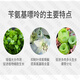 Bisel benzylaminopurine bud bursting hormone flower bud expansion fruit tree vegetable plant growth regulator pesticide 500ml