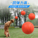 Pochido Dog Toy Ball Small Teeth Resistant Elastic Ball Teddy Self-Enjoyment Relief Solid Rubber Ball Pet Training