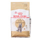 Royal Daddy Royal Cat Food BS34 British Shorthair Cat Special Blue Cat American Shorthair Adult Cat Food Fattening Hair and Cheeks Full Price 2kg