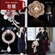 Duti's Korean style brooch for women, rhinestone corsage, accessories, brooch, collar pin, birthday gift, cat's eye tulip