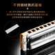 SEYDEL德国进口SEYDEL赛德 十孔10蓝调成人口琴 1847 CLASSIC 10孔LC调