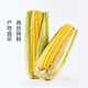 黄粒甜玉米约800g