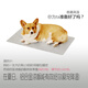 
The first concept of DOGSTORY pet cooling aluminum alloy plate dog, cat, hamster, rabbit, summer cooling and cooling plate protection, small pet special 15828cm