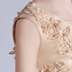 Dev Ake Kinderkleid Girl Prinzessin Rock Moderatorin High-End Piano Performance Evening Kleid Kleid mit kleinem Mädchen Hochzeits Sommer Big Boy BX683 Langarmer Champagnerfarbe 160 (Empfohlen 71-85 Jin [Jin Equals Equals ärgerlich]))