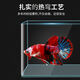 Changjiong transparent heiß gebogene rechteckige ultra-weiße Glas Goldfischtank Tropical Fish Tank Aquarium kleine und mittelgroße Landschaftsgestaltung ökologischer Fischtank 20*14*16 Standard-Set