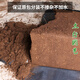 育苗盆栽通用型绿植营养泥炭土 681泥炭土5斤(特粗.块状)