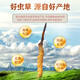 Jinyiyuan Cordyceps sinensis Productos nutricionales de líquidos orales para personas de mediana edad y ancianos para mejorar los productos de salud de inmunidad para el Día de regalo del Padre 5 cajas para ancianos, 1 caja de originales (6 cajas de Cordyceps sinensis Oral Liquid Regalo Box)