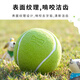 EETOYS Green Tennis Dog Toy Sound Interactive Washable Teeth Cleaning Ball Pet Supplies