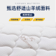 斯帝米澜床垫席梦思弹簧床垫乳胶椰棕垫20cm厚双人租房经济型软硬两用 20cm悦享+针织面料（软硬适中） 1350*1900