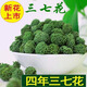Jianyi Nian Panax Notoginseng Flower Tea, producido por los agricultores, Yunnan Wenshan seleccionó flores especiales de cuatro años sin secado de azufre ahumado, flores de cuatro años 500 g