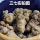 
Xiao Churen [Official Direct] Selected Panax notoginseng Yunnan Wenshan Selected Spring Panax notoginseng Authentic Tianqi Selected 15 heads and 15 without cutseng 500 grams [Medical Effect King]