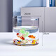 Gong Du Creative Desktop Fish Tank Ecological Round Glass Goldfish Tank Turtle Tank Mini Small Landscaping Home Aquarium Cylindrical Naked Tank Diameter 20CM Height 20CM