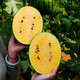 Dayu Yellow Heart Watermelon Seeds, Early Maturity, Yellow Skin, Red Flesh, Yellow Flesh, Special Xiaofeng Watermelon Seeds, Southern Fruit, Super Sweet Early Topaz Watermelon Seeds, 100 capsules/bag
