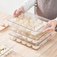 Home Story Japanese Dumpling Storage Box Refrigerator Food Grade Special Frozen Dumplings Wonton Quick Frozen Box Tray Fresh Box Dumpling Box PET Transparent (3 Packs) 1 Layer