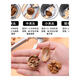 YH new walnut clip household labor-saving stainless steel high multi-function thickened hazelnut peeling pliers exclusive combination package-quality free walnut needle