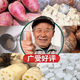 浆渣分离机全自动淀粉机红薯粉碎机不锈钢莲藕葛根土豆磨浆打粉机 加厚880型铁壳分离机（无电机）