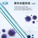 一恒实验室电热恒温微生物培养箱 DHP-9012/9032 腹透液催芽发酵生化 【420升1100W/液晶显示】DHP-9902