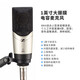 Sennheiser (SENNHEISER) MK4 large diaphragm professional recorder karaoke microphone condenser dubbing microphone anchor live singing MK4 MK4 + Aiken Uports4Dyna sound card set