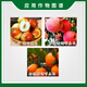 Xinruifeng Guoqi 3.6% benzylamine gibberellus jujube citrus apple tree plant growth regulator 100ml
