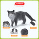 Schleich S simulation animal model cat dog boy girl children toy gift enlightenment cognition 3+ Maine cat 13893
