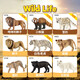 思乐（Schleich S）仿真野生动物模型袋鼠河马犀牛小熊猫灰熊猩猩儿童玩具生日礼物3+ 袋鼠14756