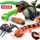 La même simulation de serpent en farce de Jingjia centiplé de décompression électrique télécommandée à télécommande usurre l'entachat de plastique faux serpent 9921 Fouche télécommandée