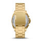 化石（Fossil）Privaeer Spr男表计时手表金色华丽不锈钢手表45mm BQ2694 os