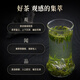 竹叶青绿茶论道 峨眉山春茶2025新茶特级120g 明前茶叶礼盒12001