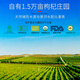 宁夏枸杞 头茬特级500克中宁红枸杞子新货免洗枸杞茶构苟杞茶父亲节礼物