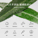 一叶子（one leaf）洗面奶男女补水保湿控油深透清洁青少年学生套装洁面乳护肤品正品 【买1送1】温和净澈洁面到手160g