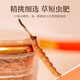 
Tongfu Cordyceps sinensis 2-3 roots/g 20g About 50 roots gift boxes, nourishing nutritional supplements, gifts for elders