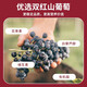 通化（TONHWA）红梅山葡萄酒老款木塞红梅 国产甜红甜葡萄酒送礼 老红梅铁盖15度整箱725ml*6瓶
