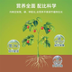 Chemischer Diaminphosphatdünger für die Landwirtschaft, Phosphatdünger, hochkonzentrierter Mehrnährstoffdünger, Allzweck-Diammoniumphosphat für Gemüse, Blumen und Obstbäume, 20-g-Probepackung
