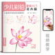 Introduction to children's colored lead basics (4 volumes complete set) Flowers, animals and food for young children's practical zero-basis drawing textbooks and art courses. Video synchronous teaching Yang Jianfei
