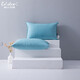 Oreiller Globon Core Coton Down Oreiller Oreiller Hôtel Five-Star White Oerte Plume Oreiller Core Single Adult Bleaching Blanc (modèle amélioré doux et pas facile à effondrer) Oerceau d'oie