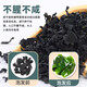 全干裙带菜 小海带菜免洗无沙 免切免洗100g*1袋