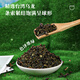 落枝花山茶花乌龙茶橙漫山茶花轻乳茶奶茶店饮品店专用原材料500g 山茶花乌龙茶（散茶） 500g*1包