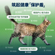ZIWI cat canned food 185g*6 cans mixed flavor staple food snacks wet food for cats and kittens universal imported from New Zealand