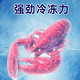 北极川钛灰商用大容量卧式冰柜低温冷冻柜超市食品冷藏柜节能电子温控商用冷柜雪糕冰箱展示柜 长1.45米不锈钢内胆-688钛灰单温智能
