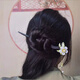 Bai Qixin ancient style hairpin magnolia tassel step shake new Chinese style Chinese style updo wooden hairpin hairpin Hanfu accessories orchid tassel hairpin