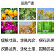 Senhuomengliang compound sodium nitrophenolate garden seedlings, lawns, flowers, vegetables, irrigation, root mixing, fertilizer, rooting and growth regulator