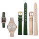 HKWF adaptiert an Armani Jurgent Lederband voller Sterne kleine quadratische Uhr AR11149 AR1681 1726 kleines grünes Gurt Echsenmuster Beige-Rose Gold Pin Schnalle 14mm