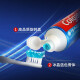 Colgate Ice-Cold Triple Mint Toothpaste Fresh Toothpaste with Mint Factor Tooth Stains Family Set [Cold Mint] 2 120g