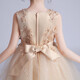 Dev Ake Kinderkleid Girl Prinzessin Rock Moderatorin High-End Piano Performance Evening Kleid Kleid mit kleinem Mädchen Hochzeits Sommer Big Boy BX683 Langarmer Champagnerfarbe 160 (Empfohlen 71-85 Jin [Jin Equals Equals ärgerlich]))