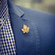 Kaflink (KFLK) silver gold maple leaf brooch high-end lapel pin button collar button collar corner button suit clothing accessories men's badge breast button XZ-K019 gold 1 piece
