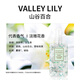 MINISO fragrance spray light incense Fragrance Fresh Fresh Dose Birthday Gift Valley 100ml*2
